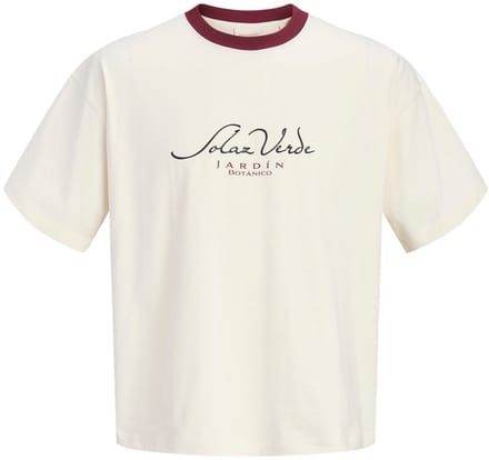 Jack & Jones T-shirts Achterkant bedrukt T-shirts