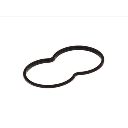 Pakking, thermostaat DT Spare Parts 1.24111