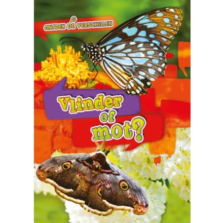 Vlinder Of Mot? - Ontdek De Verschillen - Christina Leaf