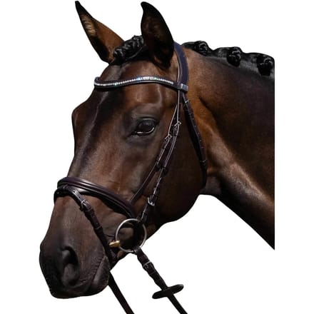 Riem voor paardrijden Premier Equine Rivere