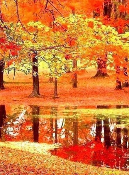 Diamant schilderij Herfst DL4050/113