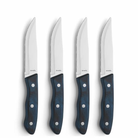 Amefa Hercule 4 delige steakmessenset blauw