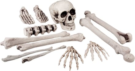 Boland - Set 12 schedel & beenderen (L) - Piraten;Horror - Piraten- Horror