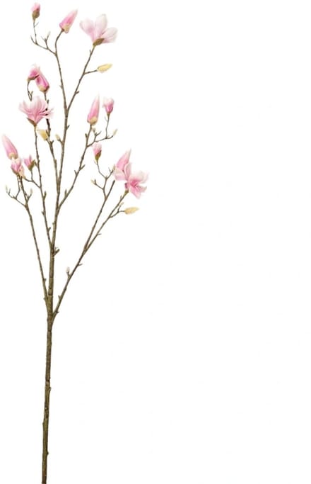 Kunsttak Magnolia Spray Beauty - 155 cm