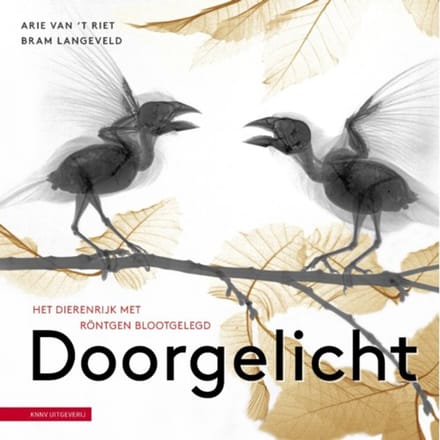 Doorgelicht - Bram Langeveld
