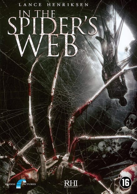 In The Spider's Web
