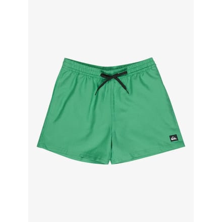 Quiksilver Everyday Deluxe Volley 15´´ Zwembroek Groen L Man