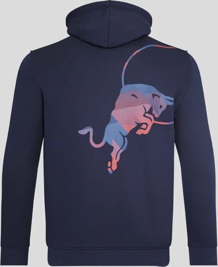 Oracle Red Bull Racing Graphic hoody XXL - Formule 1 - Max Verstappen