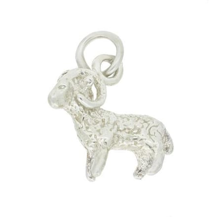Blinx Jewels Zilveren Hanger Horoscoop Steenbok