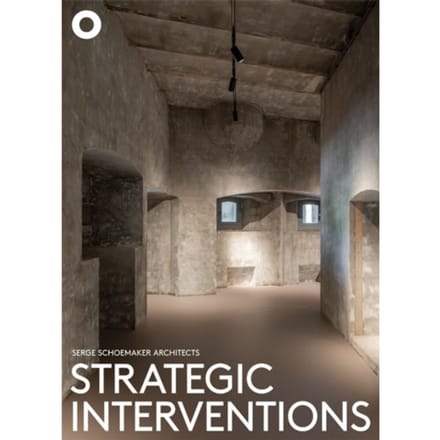 Strategic Interventions - Kirsten Hannema