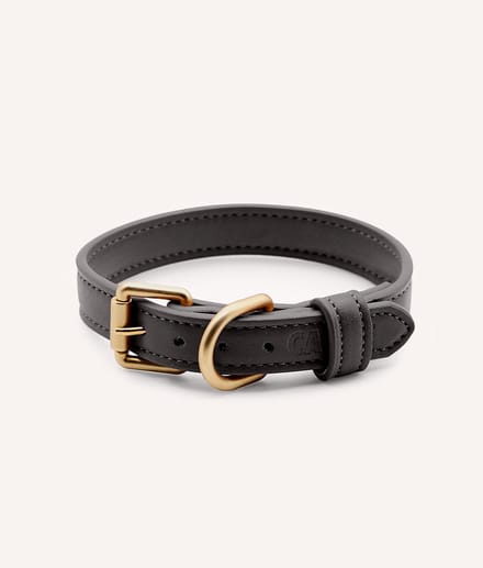 Vegan leren halsband – Zwart – Comfortabel & verstelbaar – Jala