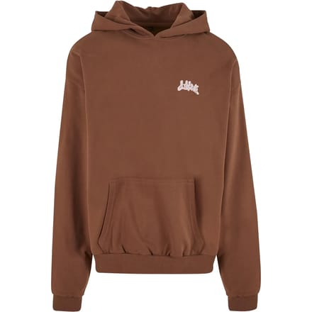 Hoodie Lost Youth Golden Horizon