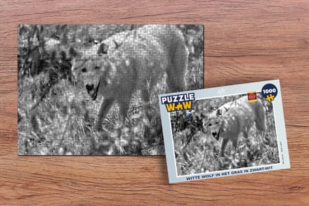 Puzzel Witte wolf in het gras in zwart-wit - Legpuzzel - Puzzel 1000 stukjes volwassenen
