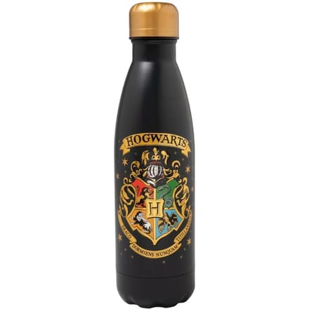 Harry Potter Thermosfles Hogwart 500ml - Ideale Schoolfles