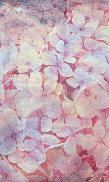 Fotobehang - Apple Tree Abstract I 150x250cm - Vliesbehang
