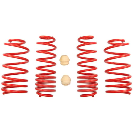 Verlagingsveer EIBACH E20-85-001-01-22