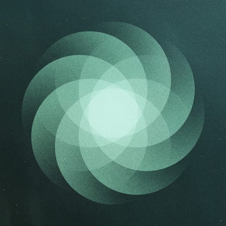 Som - The Shape Of Everything (LP)