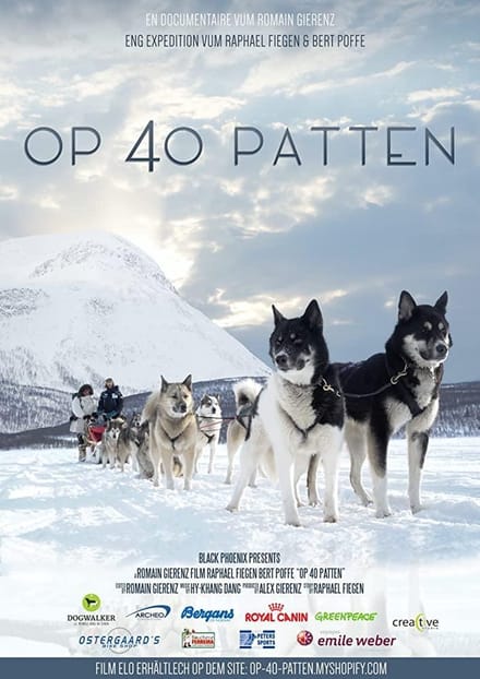 OP 40 Patten