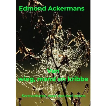 Van Wieg, Mand En Kribbe - Edmond Ackermans