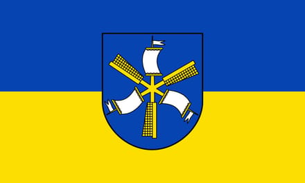 Vlag Haren 100x150cm