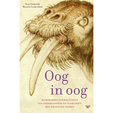 Oog In Oog - René Zanderink