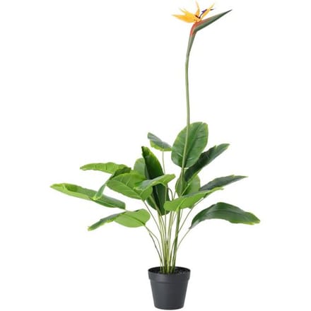 LIVARNO Kunstplant (Strelitzia)