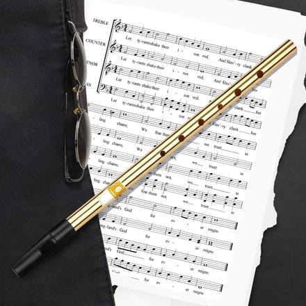 Ierse Whistle Fluit Toets D 6 Gaten Fluit Blaasinstrumenten voor Beginners Gevorderden Experts