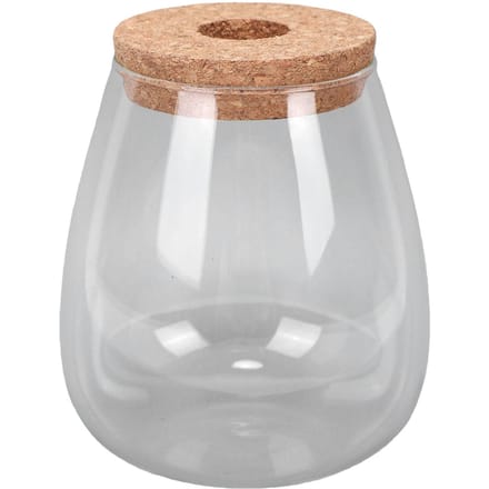Hydroponische Container Vaas Glas Plant Terrarium Pot voor Bureaus Huizen Tuindecoraties Huis Ovaal white