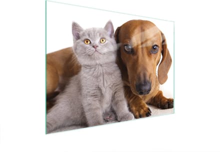 TMK ArtDeko - Snijplank van Gehard Glas - 40x30 cm - Antislip - Antibacterieel