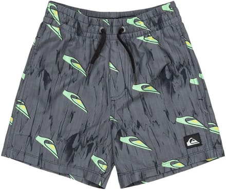 Quiksilver Next Gen Volley 12 Zwembroek Grijs 4 Years Jongen