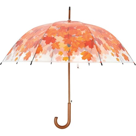 Paraplu boomkroon herfst