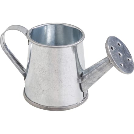 VBS Miniatuur Gieter