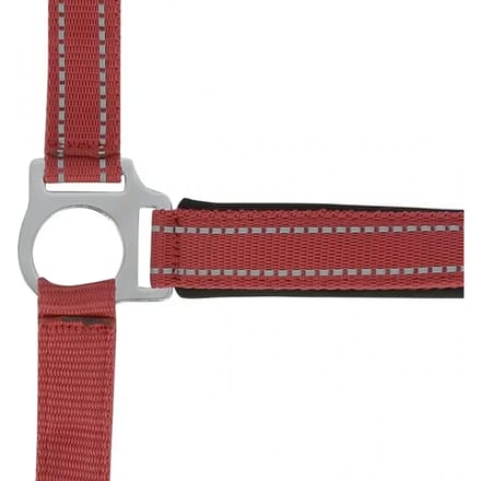 Halster voor paarden Norton Reflective