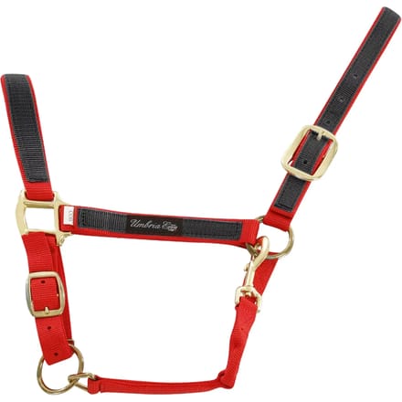 Kleurige nylon halster voor paard Umbria Equitazione