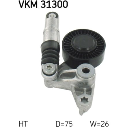 Riemspanner, Poly V-riem SKF VKM 31300