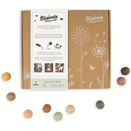 Blossombs Bloembommetjes Giftbox Medium - 9 Zaadbommetjes - Cadeau voor Bijen en Vlinders