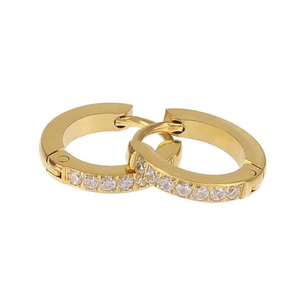 Kalli edelstalen Oorbel crystal 1868 Goud 13mm