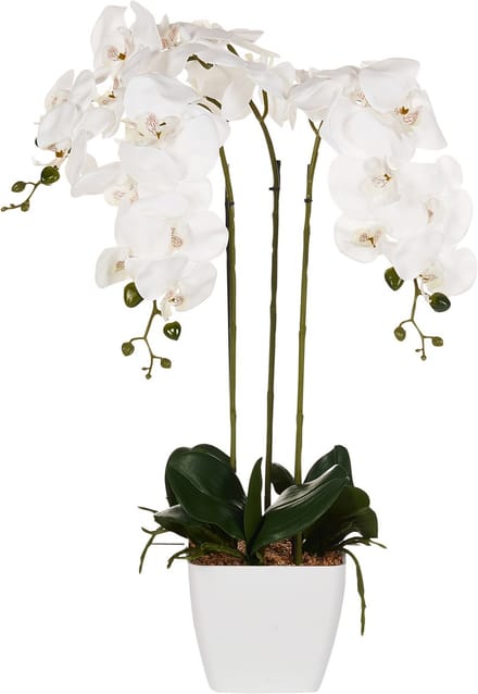 ORCHID - Kunstplant - Wit/Groen - 59 cm - Synthetisch