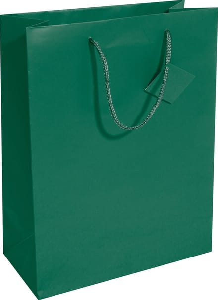 Sigel cadeautas papieren tas opaal groen 26x33x12cm