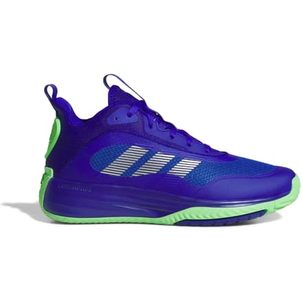 Basketbalschoenen adidas Baskets Ownthegame 3.0 multi-couleur