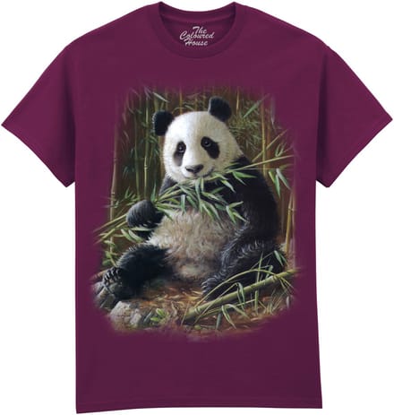 Bamboo Panda The Coloured House T-shirt M