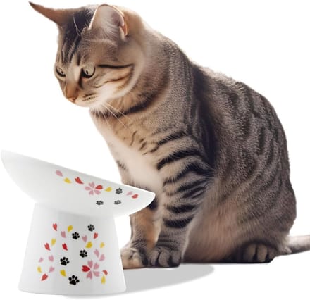 Verhoogde Voerbak - Kattenbak - Comfortabel Eten - Extra brede lip - 15.5 x 14.5 cm - Wit