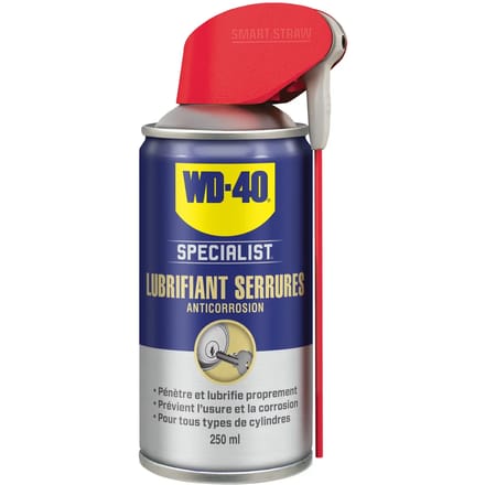 Lock smeermiddel WD40 Specialist