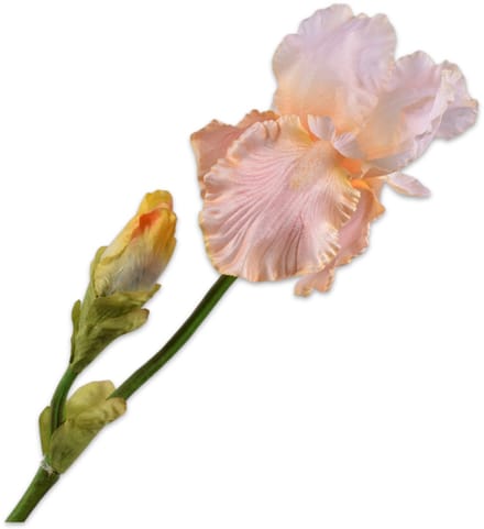 Silk-ka Kunstbloem-Zijden Bloem Iris Tak Zalm-Wit 79 cm
