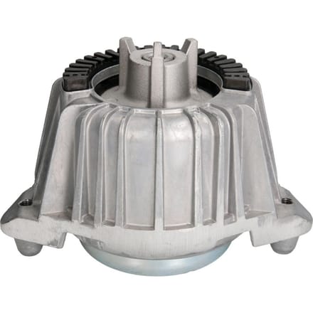 Motorsteun REINHOCH RH11-3024 links