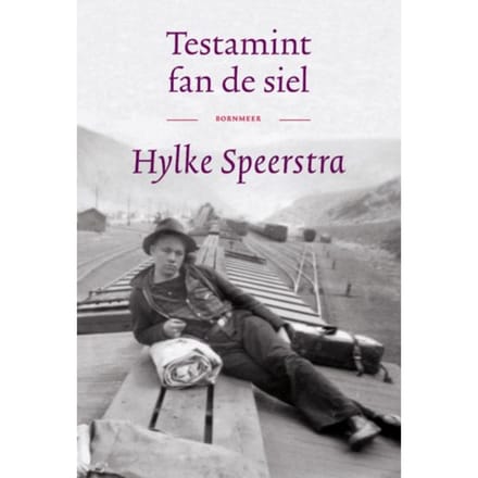 Testamint Fan De Siel - Hylke Speerstra