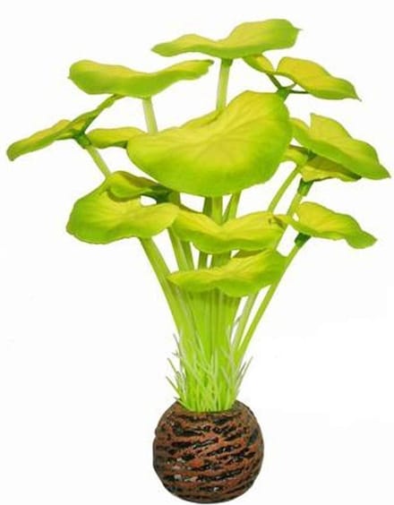 Superfish easy plants voorgrond nr. 5 - van zijde 13 cm - 1 ST