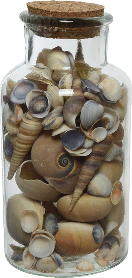 Decoris deco schelpen in glazen pot - D8 x H16 cm - bruin tinten