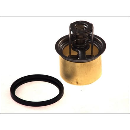 Thermostaat, koelvloeistof THERMOTEC D2RV001TT