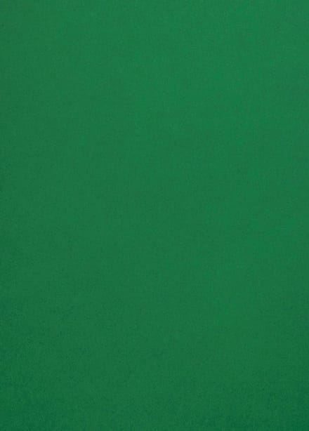 Netuno - groen glad gekleurd papier - A4 - 21 x 29,7 cm - 10 vellen - 120 gram - Malmero Amazone